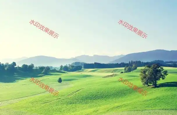 照片加水印怎么弄?3个详细方法教会你