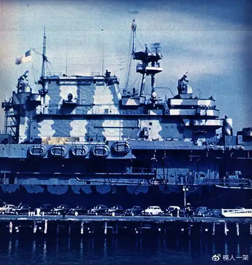 大黄蜂独特的竖纹迷彩