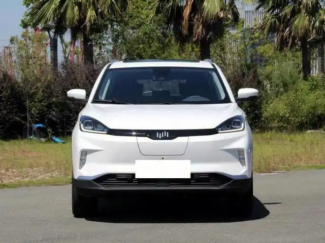 威马汽车  探索版  18.