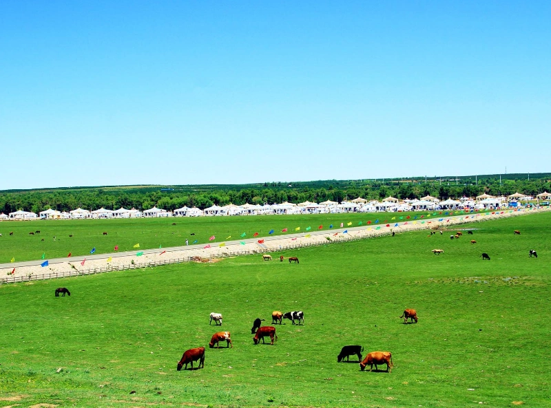 豪迈的鄂尔多斯草原,创造放松身心的环境,带你与自然亲密接触