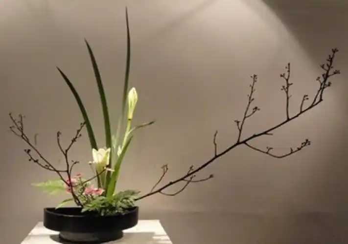 七夕花道妙在精神意于物者