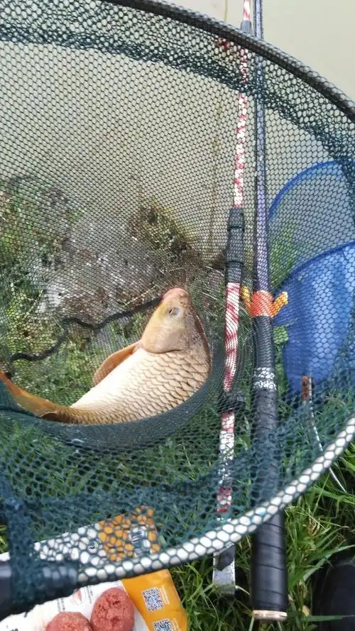 下雨天不好钓吖 钓鱼之家饵料钓草鱼