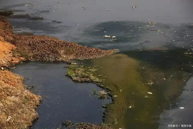 耗氧量和总有机碳,水中有机物污染评价的两个重要指标