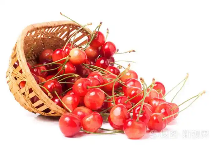 在白色背景上孤立的柳条篮子里的粉红色樱桃