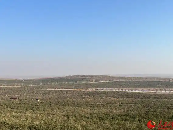 金融服务量体裁衣精准施策让小枸杞成为大产业