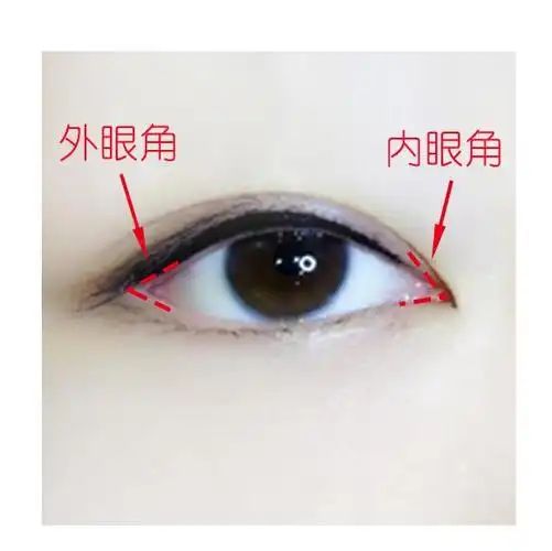 内眼角的轮廓线条的曲,直曲适中,直,依次如下