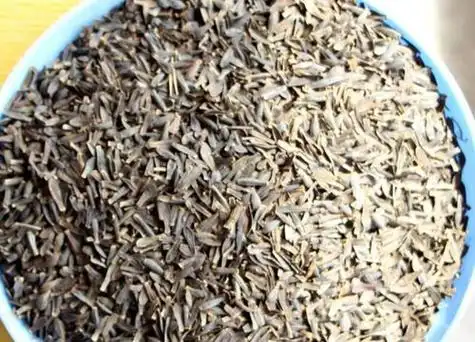 大丽花有种子吗大丽花种子图片及种植方法