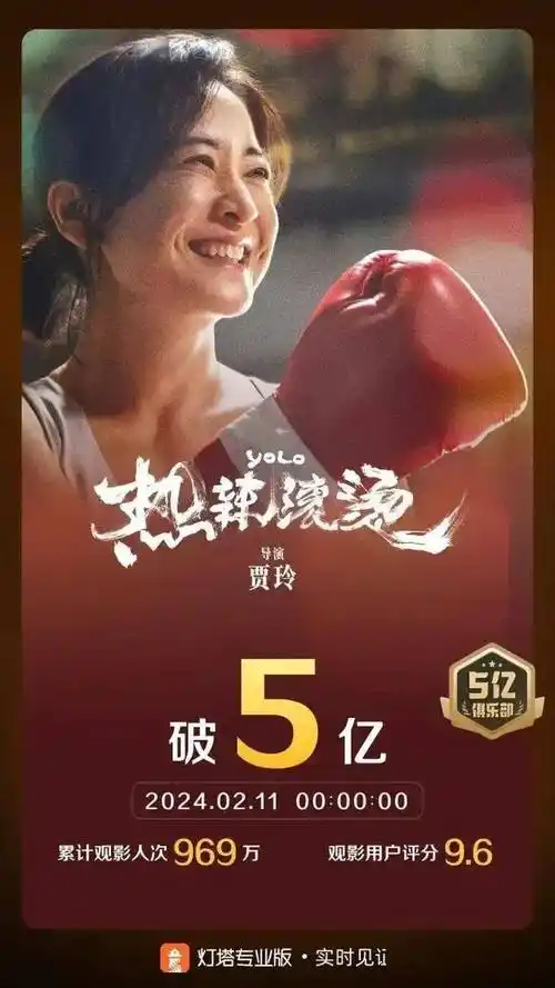 襄阳俩娃儿贾玲专访!_电影_备忘录_公众