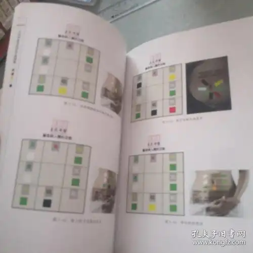 王氏中医五色疗法案例集