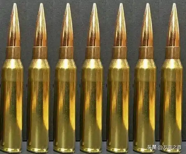 世界4种高精度狙击步枪子弹中国将装备价格最贵的那种