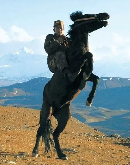 骑兵的训练要比步兵苦,马术训练讲究"人马合一"