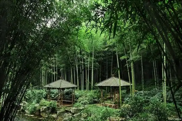 安吉旅游必去的景点推荐,随手一拍都是大片,看看有你想去的吗?