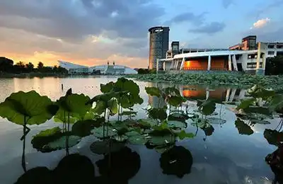 浙江大学医学院免疫代谢方向周全课题组2021年诚招博士后科研助理技术