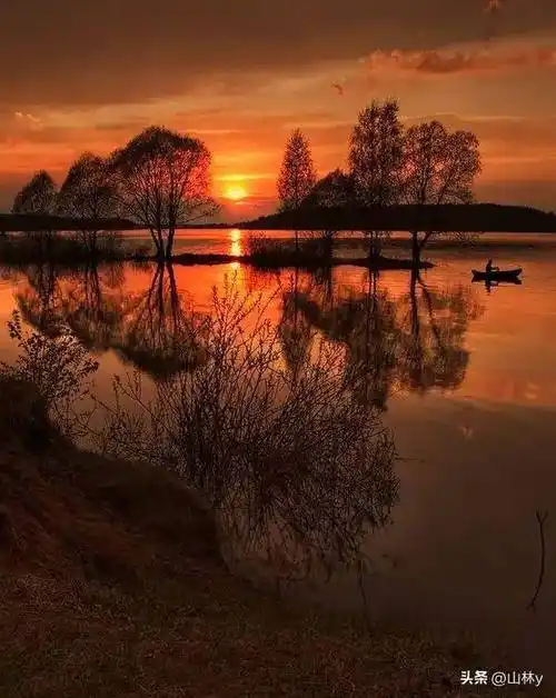 世界顶级摄影师的获奖作品,看看美好事物能让心情愉悦