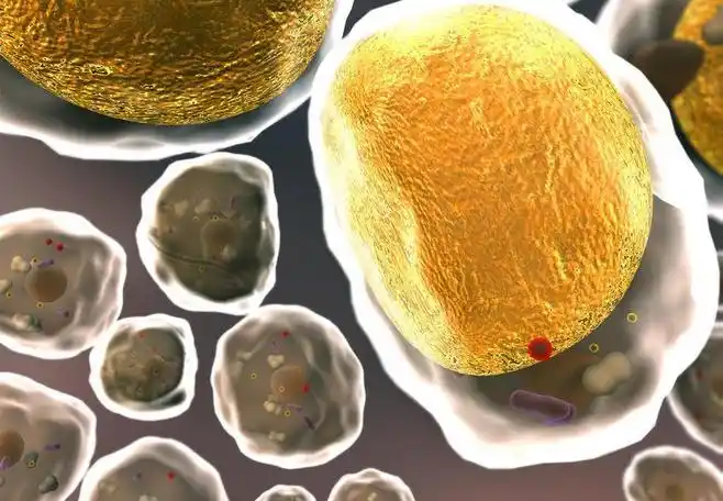 细胞微生物细菌生物学图片www.58pic.com/tupian sdjkslk