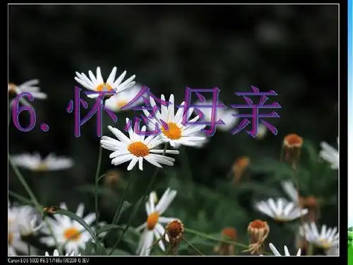 最新整理新人教版小学语文六年级上册 怀念母亲(第一课时)课件 (正式