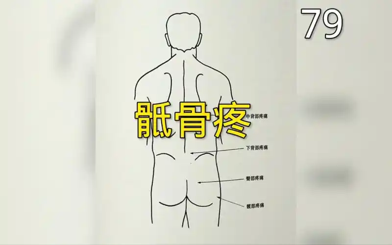 骶骨疼的肌肉触发点