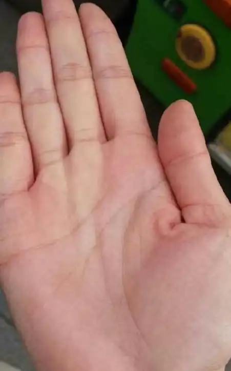 手掌掌形(手掌形状图片大全)