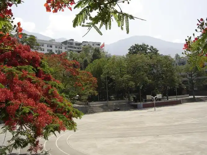 巧家县第一中学