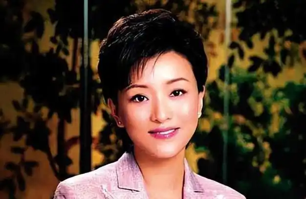 杨澜:我与丈夫早已失去爱情,继续在一起,对彼此都是不公平的