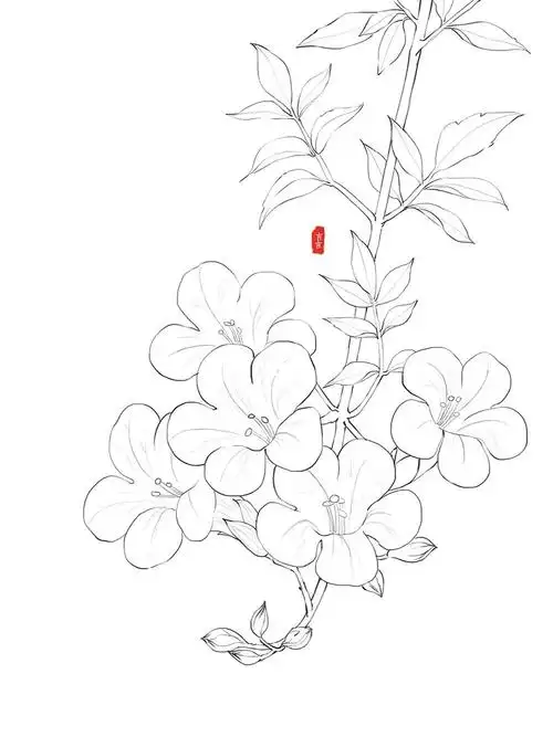 还有跟课学习#线描  #古风花卉  #植物插画  #写生