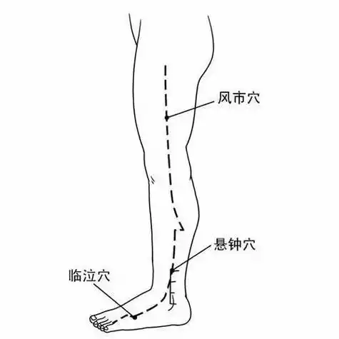 悬钟穴属于足少阳胆经,悬钟穴位于人体小腿外侧,当外踝尖上3寸,腓骨