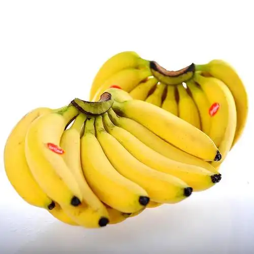 进口厄瓜多尔香蕉上海报关代理