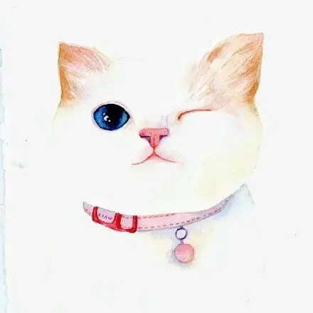 插画| 手绘猫咪插画