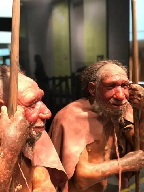 尼安德特博物馆了解尼安德特人和现代人智人的故事