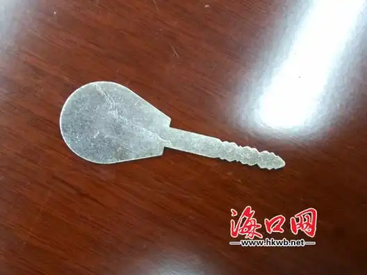 海口一盗窃电动车团伙落网 20天作案30多起