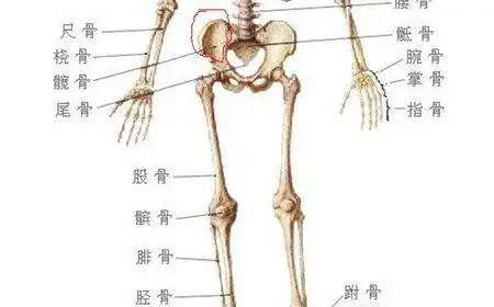 这是哪儿,,叫什么