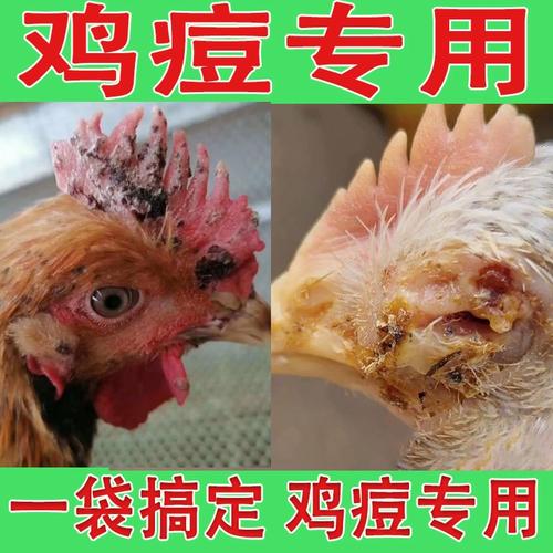 鸡痘专用鸡痘病药专用鸡冠长痘鸡鸭痘毒克鸡痘克星家禽鸡用