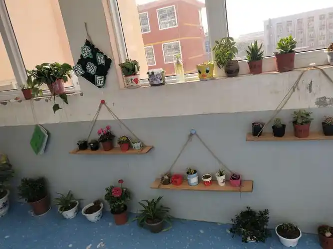《秀秀我们的植物角》--"第二实验小学幼儿园"