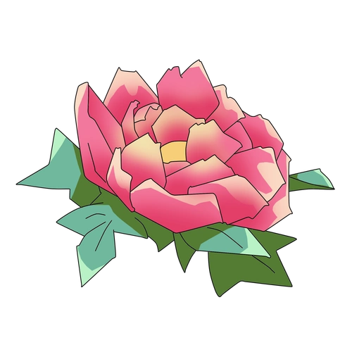 卡通手绘鲜艳牡丹插画图片