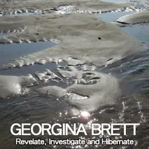 georgina brett - revelate, investigate and hibernate