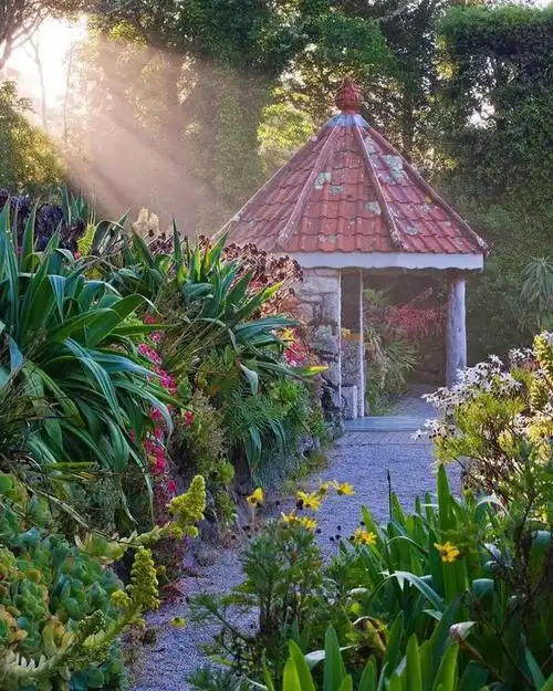 地中海花园中最佳的植物配置,你也能打造不一样的秘密花园!
