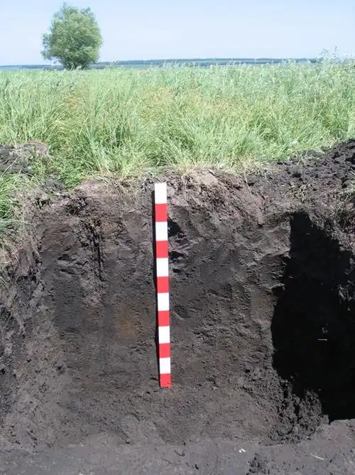 有机质|有机碳|黑土层|黑土区|濒危物种|受威物种_网易订阅