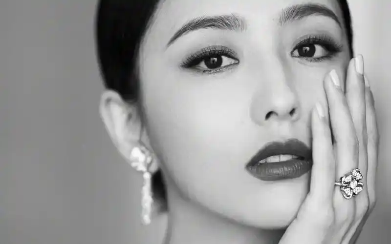 佟丽娅精致优雅写真桌面壁纸