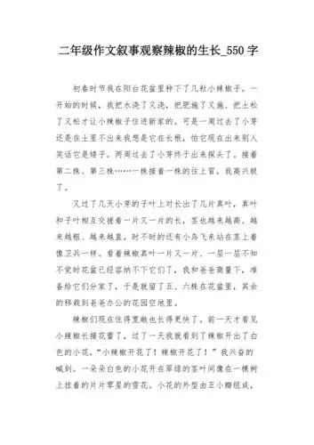二年级作文叙事观察辣椒的生长550字