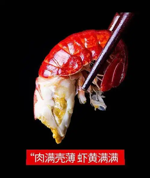 89元抢购3盒渔家姑娘麻辣小龙虾个个紧实饱满麻辣鲜香超过瘾