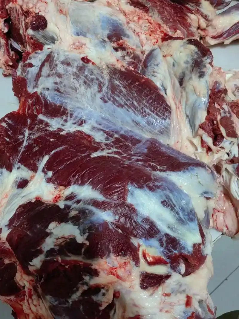 明日杀不打水牛肉38元一斤腱子38一斤