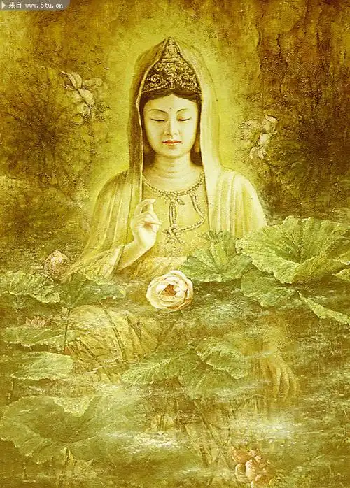 莲花观音菩萨1575x2200
