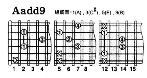 有两个和弦不会弹
