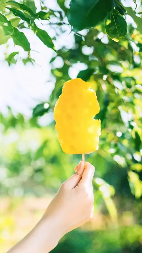 夏天来了高清手机壁纸图片