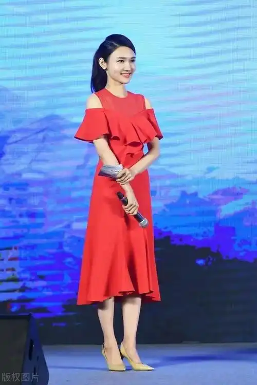 最美女主持人龙洋