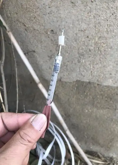 摩托男流窜街头毒针杀狗再偷走村民怀疑为卖狗肉