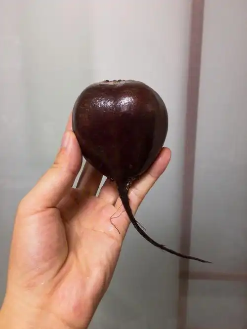 对这个食物可能很多人有点陌生它叫—甜菜根 红菜头,之前也分享过吃法