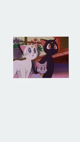 露娜猫壁纸 美少女战士