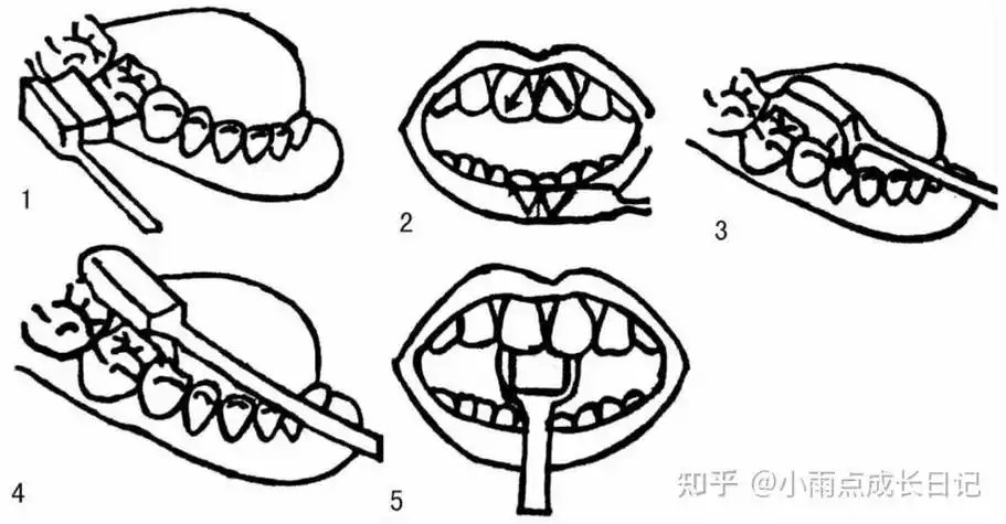 刷牙图片简笔画刷牙图片简笔画彩色