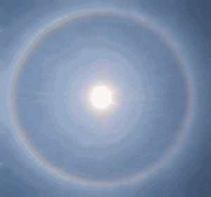 300_281gif 动态图 动图